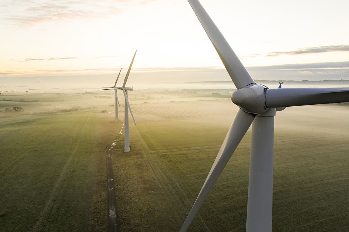The 3Ps of Sustainable Development to save the planet