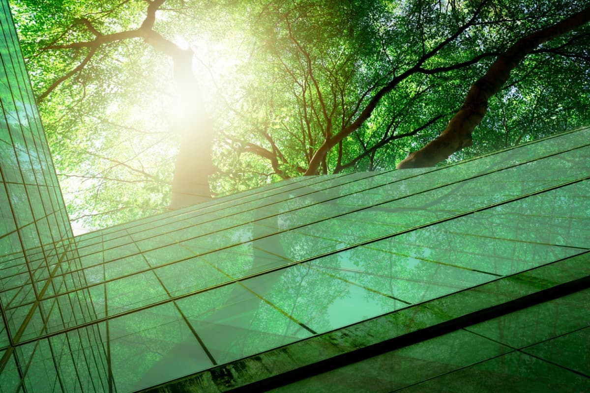 Definitions and future perspectives of Green Jobs